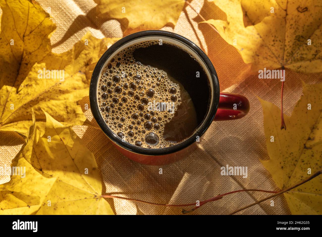 Tasse Kaffee über Herbst gelbe Blätter Hintergrund, flach lag. Stockfoto