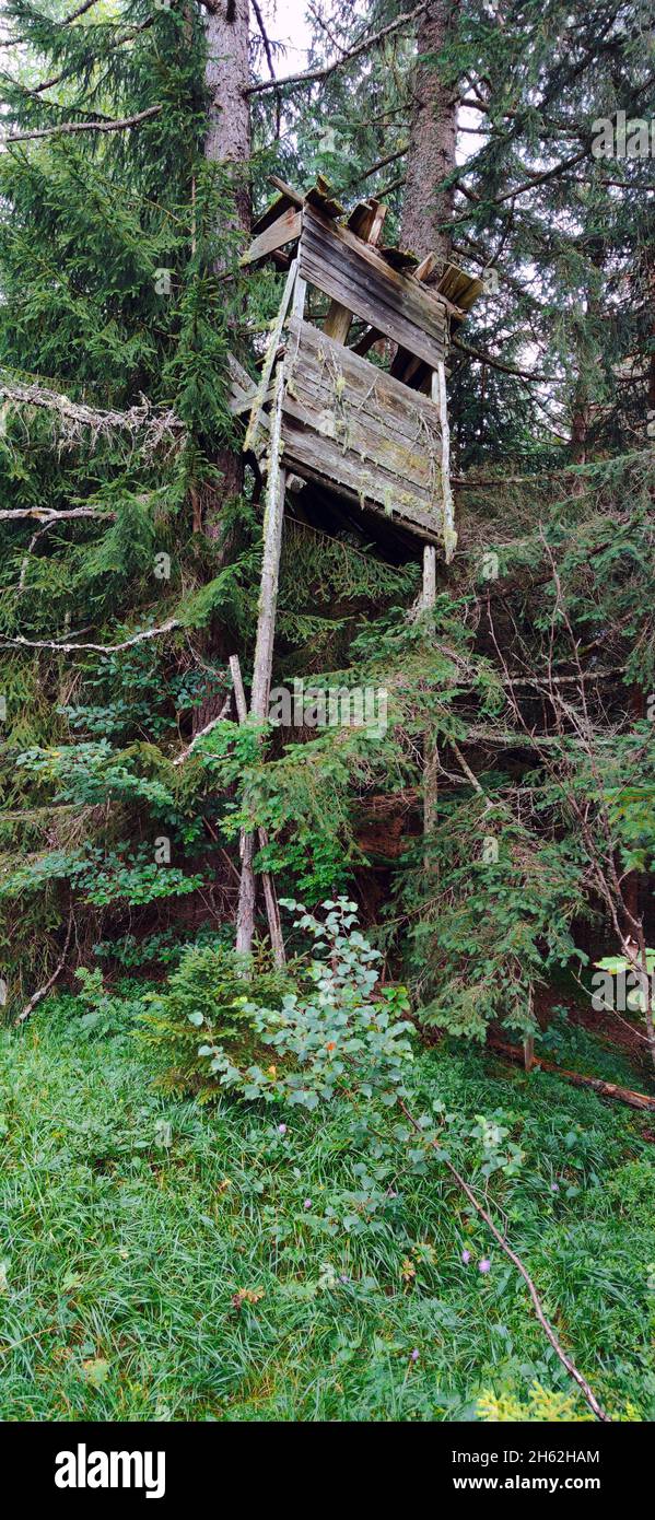 Vereitelter hoher Sitz Stockfoto