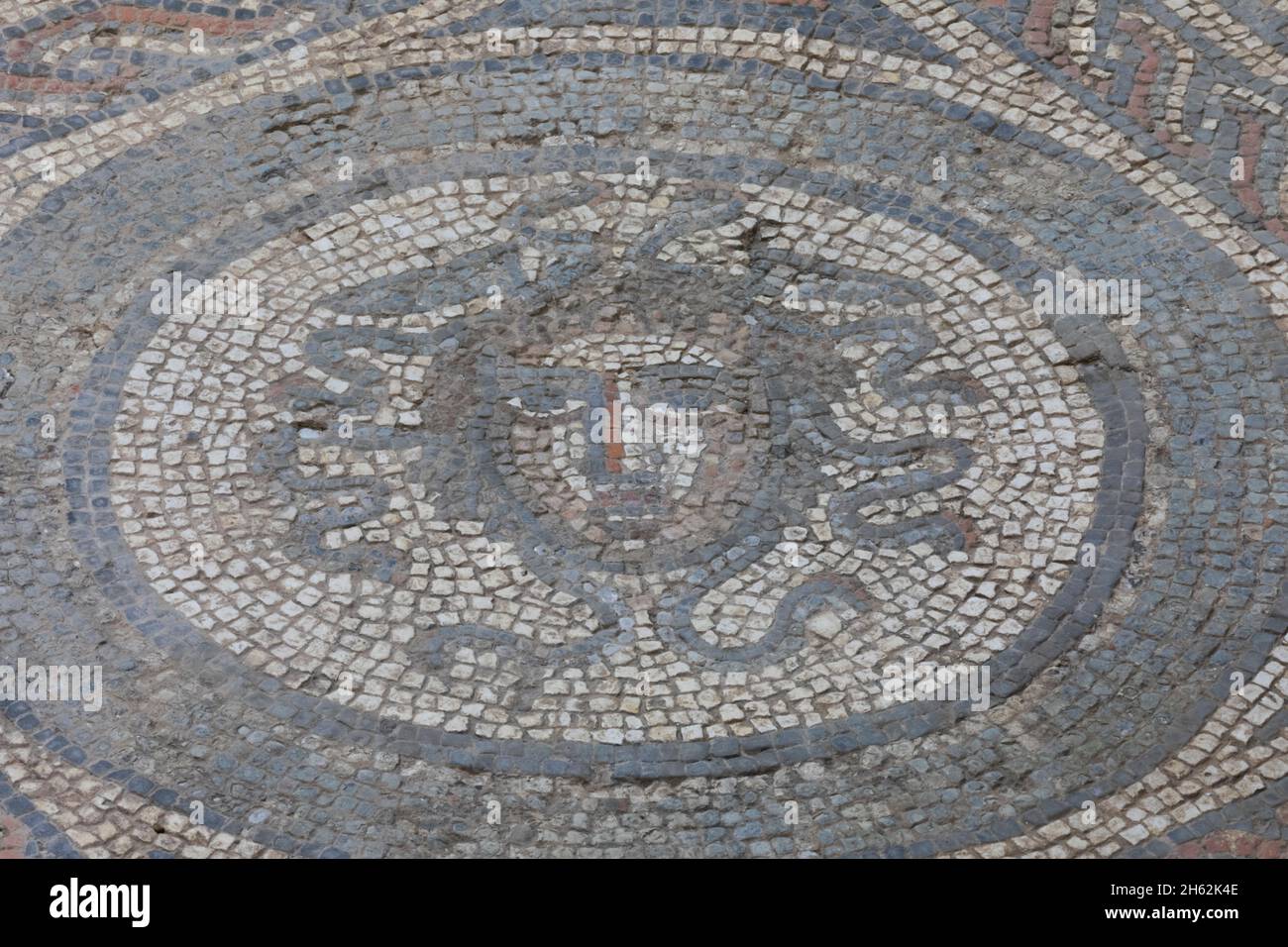 england, Insel wight, umraunte römische Villa, der Kopf des medusa-Mosaiks Stockfoto