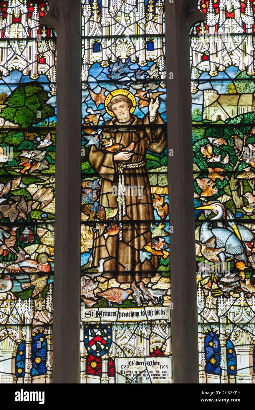 england, hampshire, selborne, St. mary's Church, Gedenkfenster mit Buntglasfenster für den Naturforscher gilbert White, das st.francis von assisi zeigt, die die Vögel füttern Stockfoto