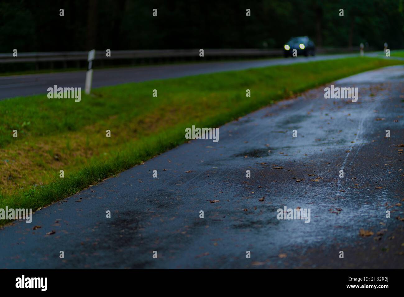 Herbstwetter, nasser Radweg neben einer Landstraße nach einer Regendusche, geringe Schärfentiefe, sehr weiches Bokeh Stockfoto