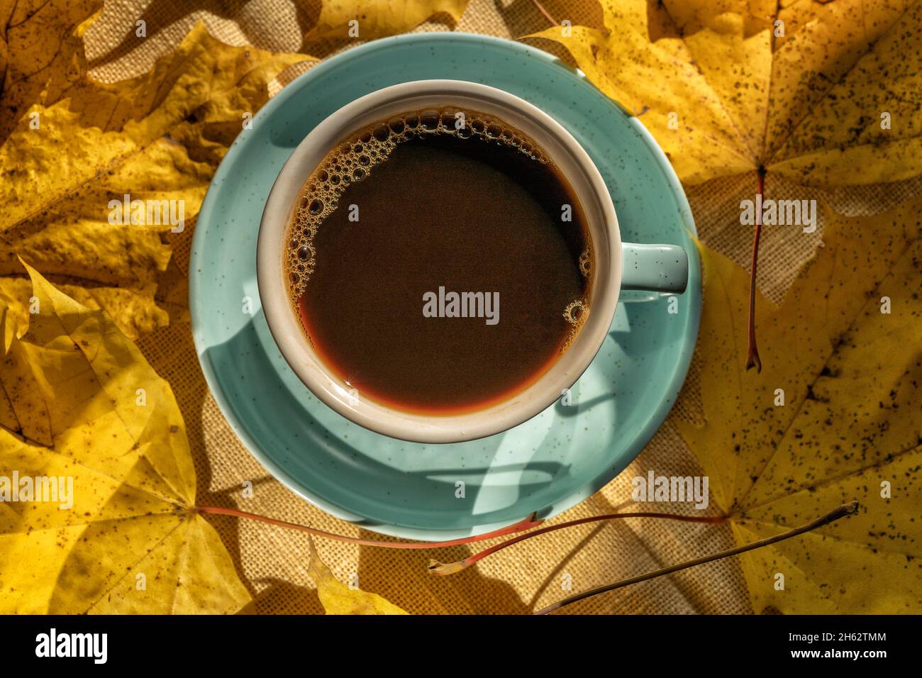 Tasse mit schwarzem Kaffee über Herbst gelbe Blätter Hintergrund, flach legen. Tageslicht. Stockfoto