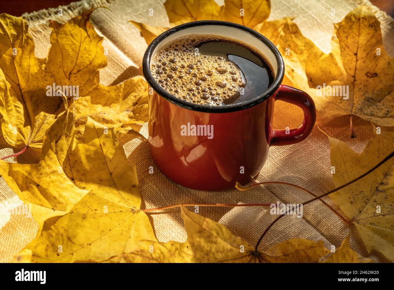 Tasse Kaffee über Herbstgelb, Dachüberhänge, Draufsicht. Stockfoto