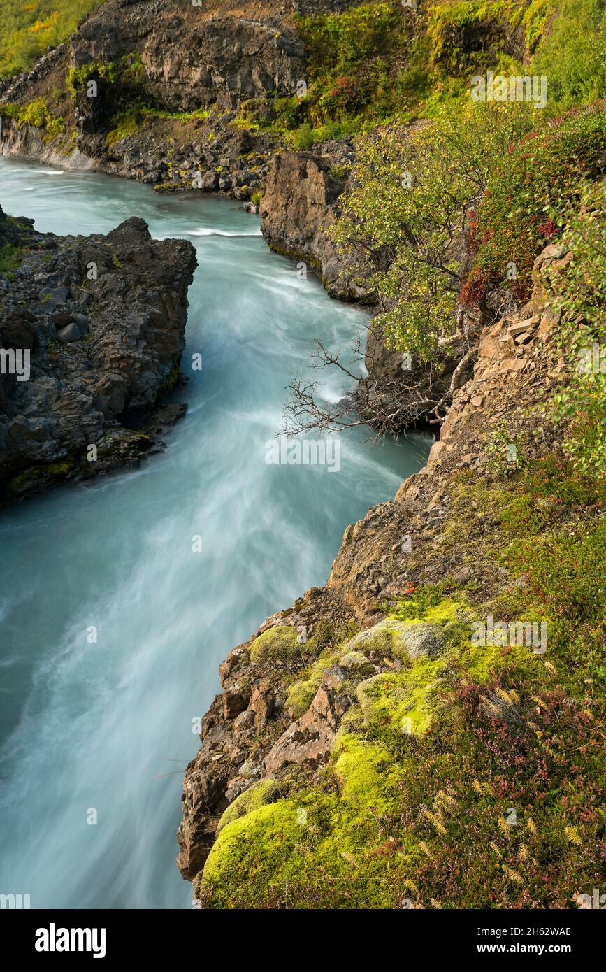 Der Verlauf der Hvítá, in der Nähe der Barnafoss und hraunfossar Wasserfälle in der Nähe von Húsafell, island, West island Stockfoto