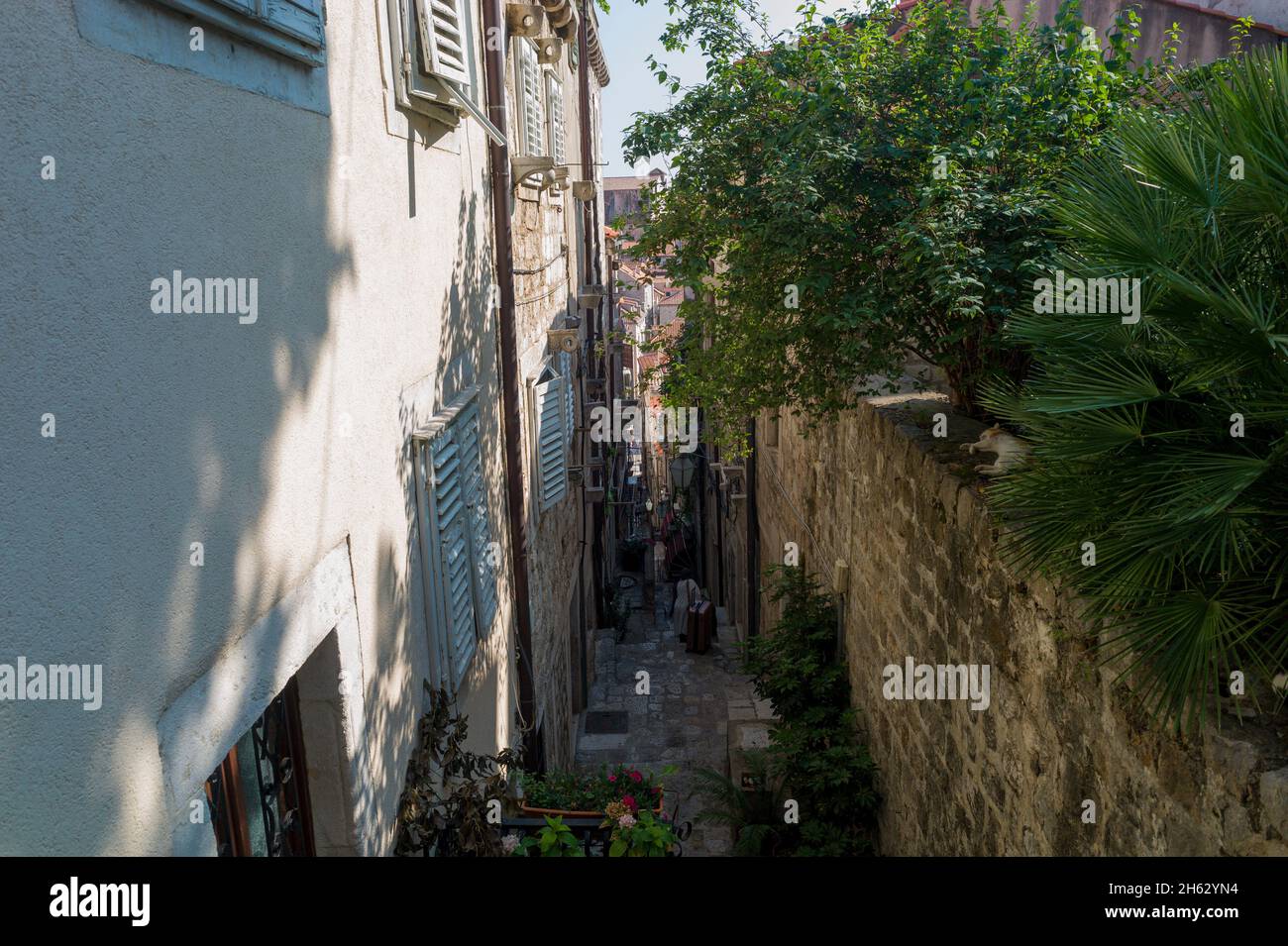 Wandern in Dubrovnik, kroatien - berühmter Drehort für Thronspiel. Dort heißt es: Königslandung Stockfoto