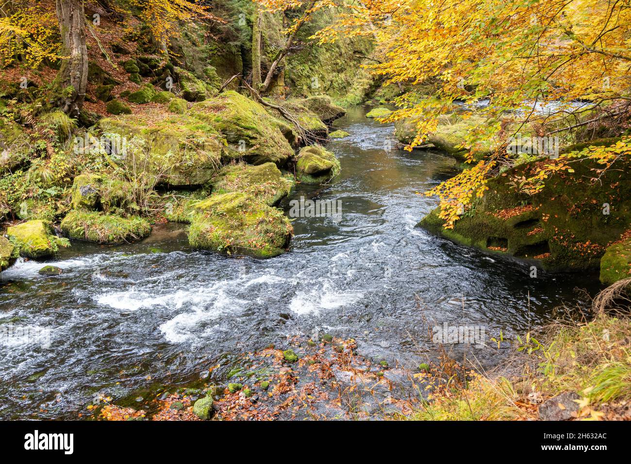 Edmundsklamm Elbsandsteingebirge böhmische Schweiz Stockfoto