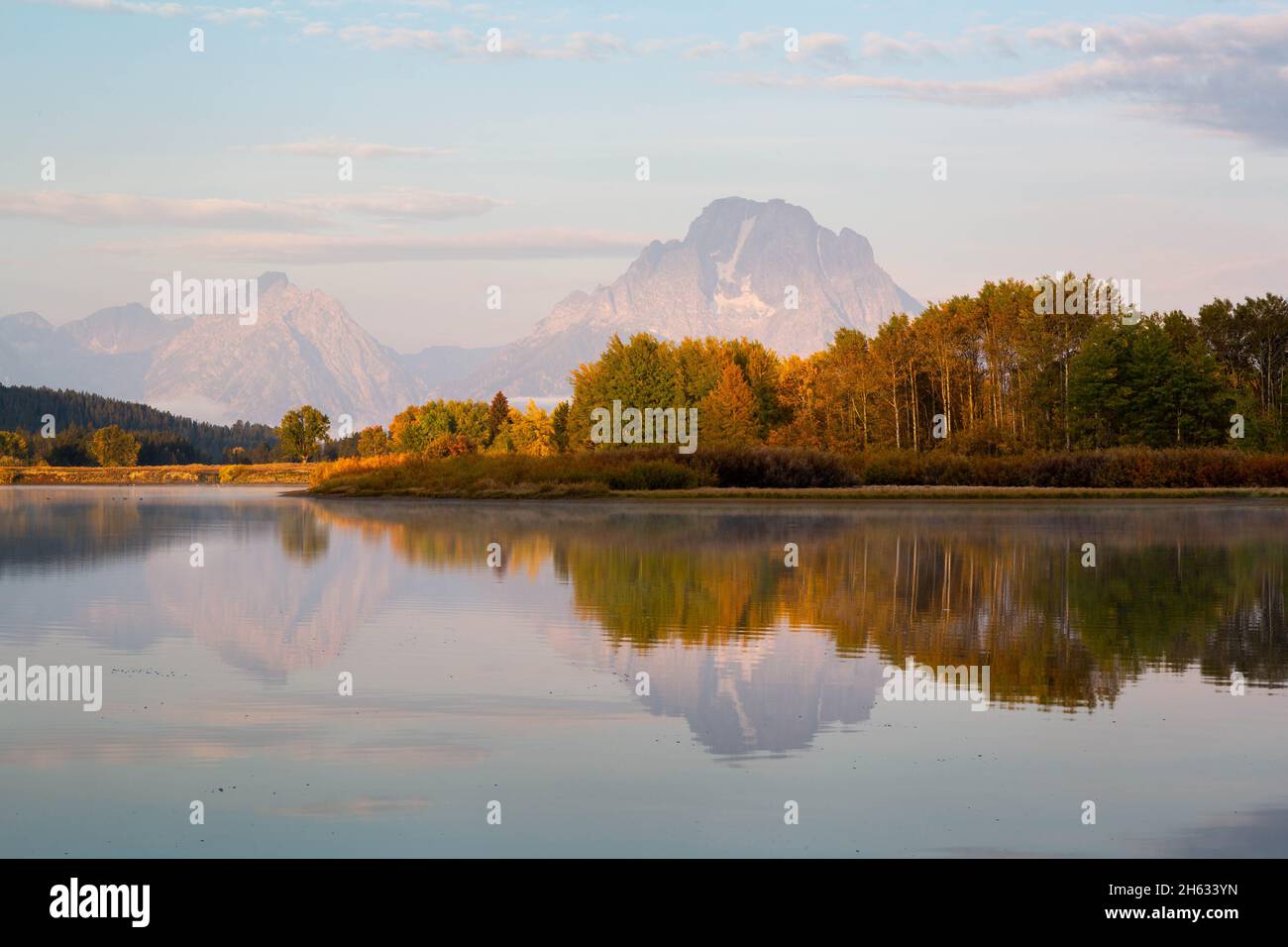 Herbst Espenbäume spiegeln sich im ruhigen Wasser des Snake River am Oxbow Bend bei Sonnenaufgang wider. Grand Teton National Park, Wyoming Stockfoto