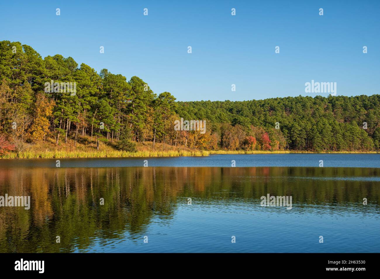 Herbstfarben, die sich auf Cedar Lake in Oklahoma gegen den klaren, blauen Novemberhimmel spiegeln Stockfoto