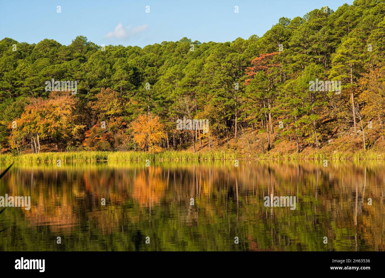 Farbenfrohe Bäume und ihre Reflexion auf den Gewässern von Cedar Lake an einem Oklahoma Herbstmorgen Stockfoto