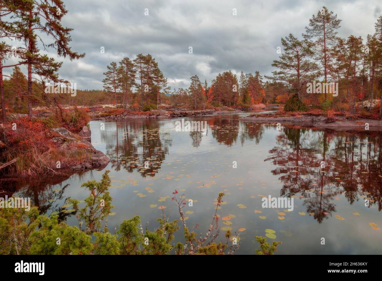 Herbstszene mit Wald-, Berg- und Seenlandschaft in schweden Stockfoto