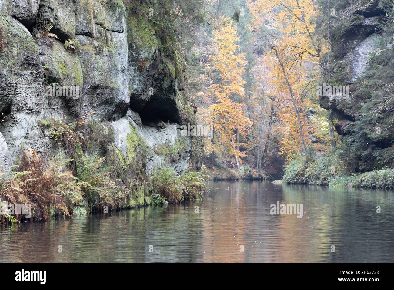 Edmundsklamm Elbsandsteingebirge böhmische Schweiz Stockfoto