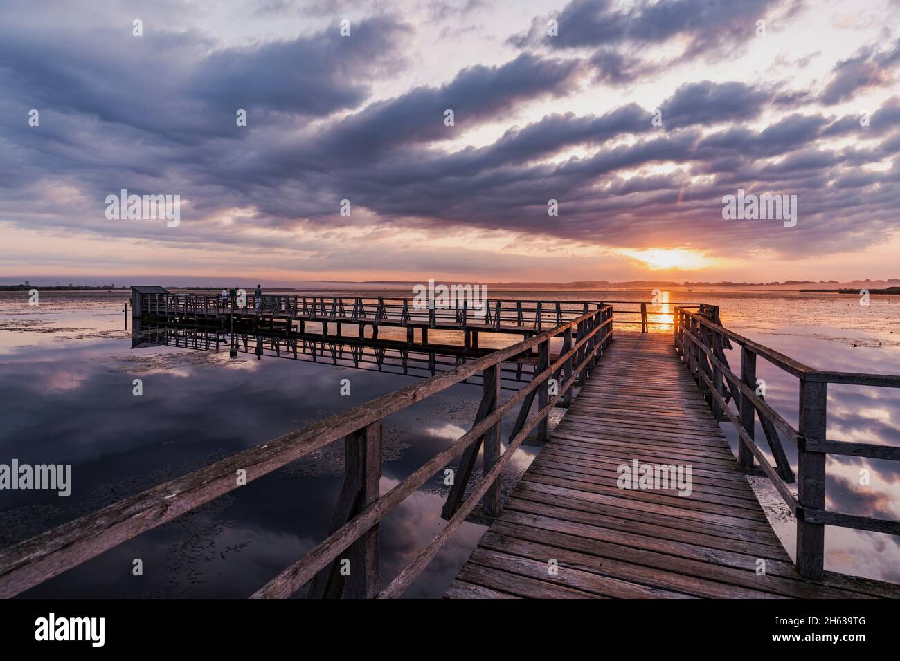 federsee-Fußgängerbrücke, Bad buchau, Sonnenaufgang Stockfoto