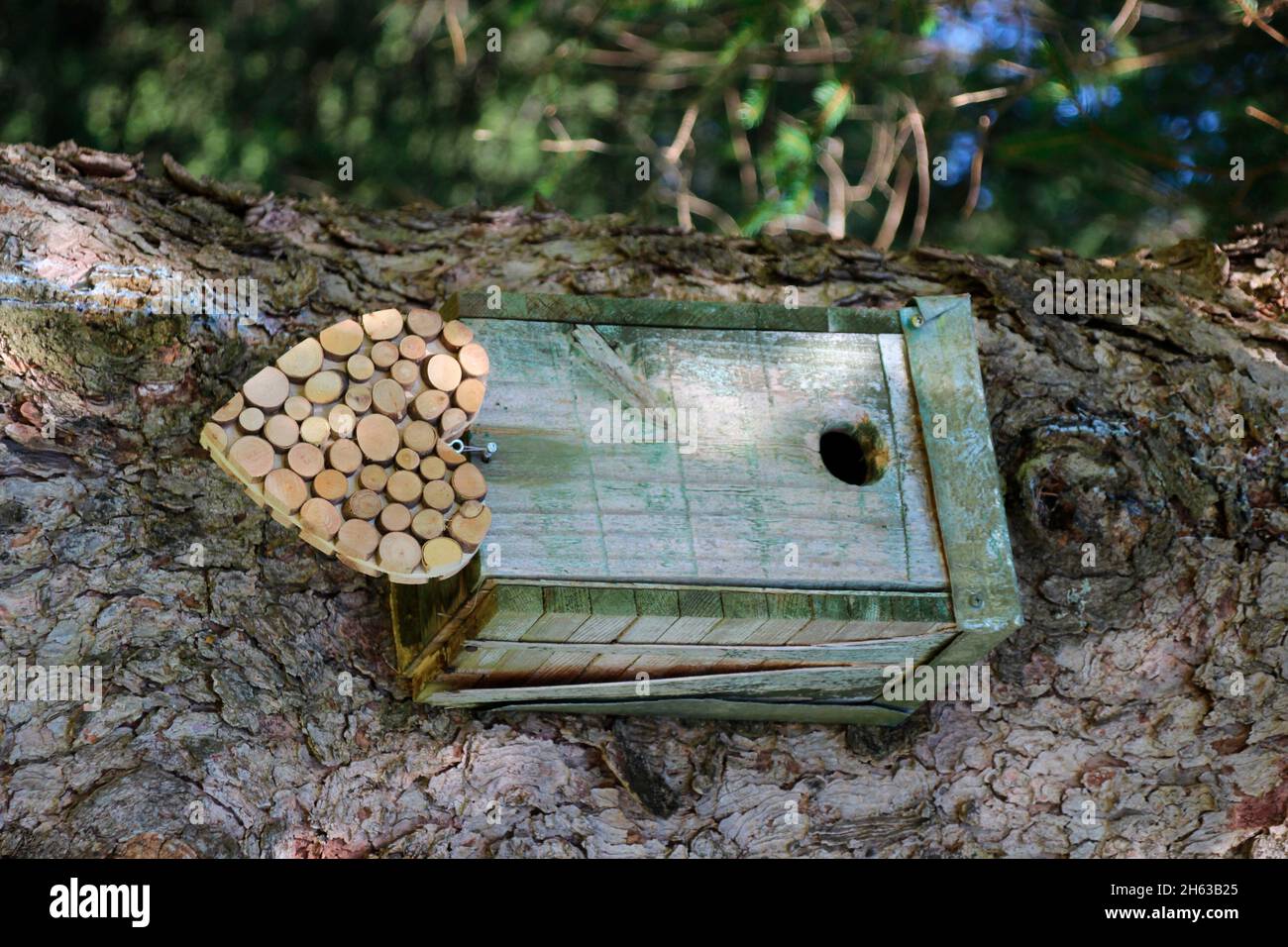 Dekoration Herz, am Vogelhaus auf einem Baum, mittenwald, deutschland, bayern, oberbayern, werdenfelser Land, isartal Stockfoto