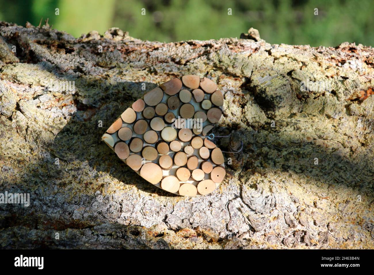 Dekoration Herz, auf Baum, Penumbra, mittenwald, deutschland, bayern, oberbayern, werdenfelser Land, isartal Stockfoto