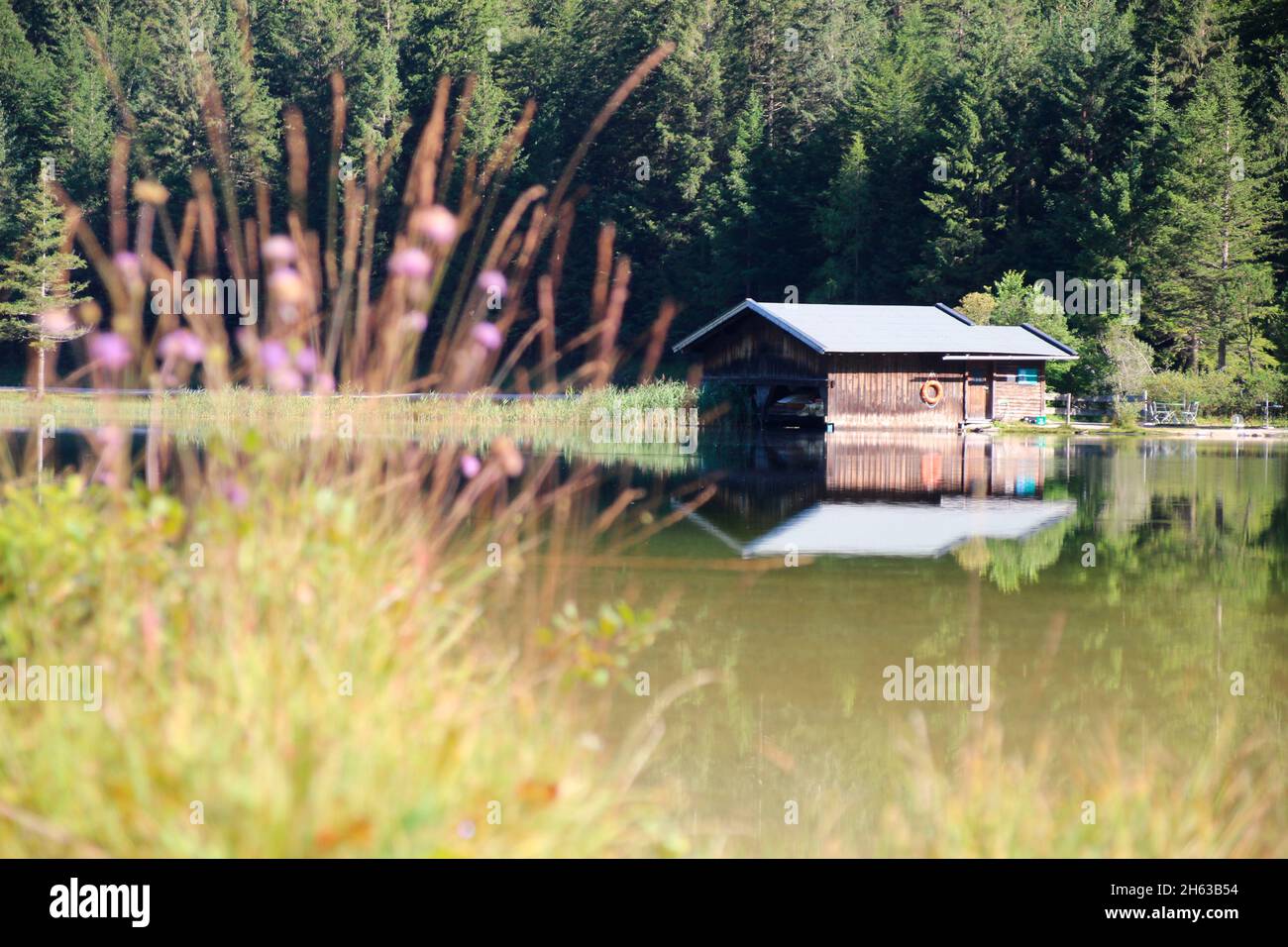 Bootshaus am ferchensee, Ufer, Vegetation, See, werdenfelser Land, oberbayern, bayern, deutschland, mittenwald Stockfoto