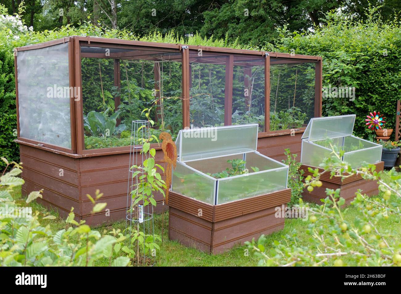 Großes Hochbett aus Holz mit der Oberseite, vorne ein kalter Rahmen mit Erdbeeren Stockfoto