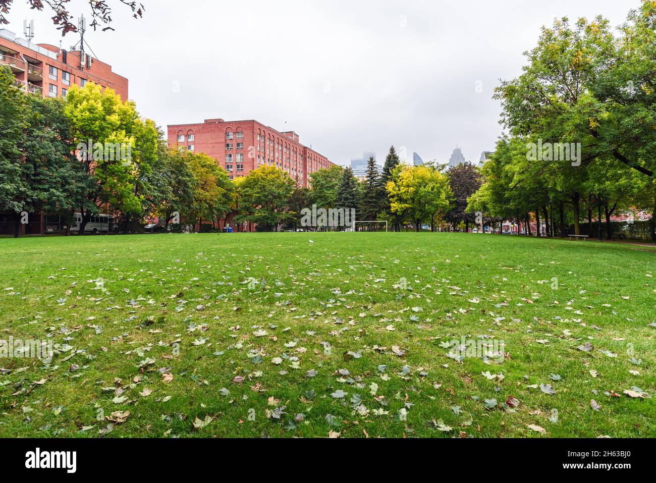 Menschenleerer Fußballplatz in einem öffentlichen Park in einem Wohnviertel an einem nebligen Herbsttag Stockfoto