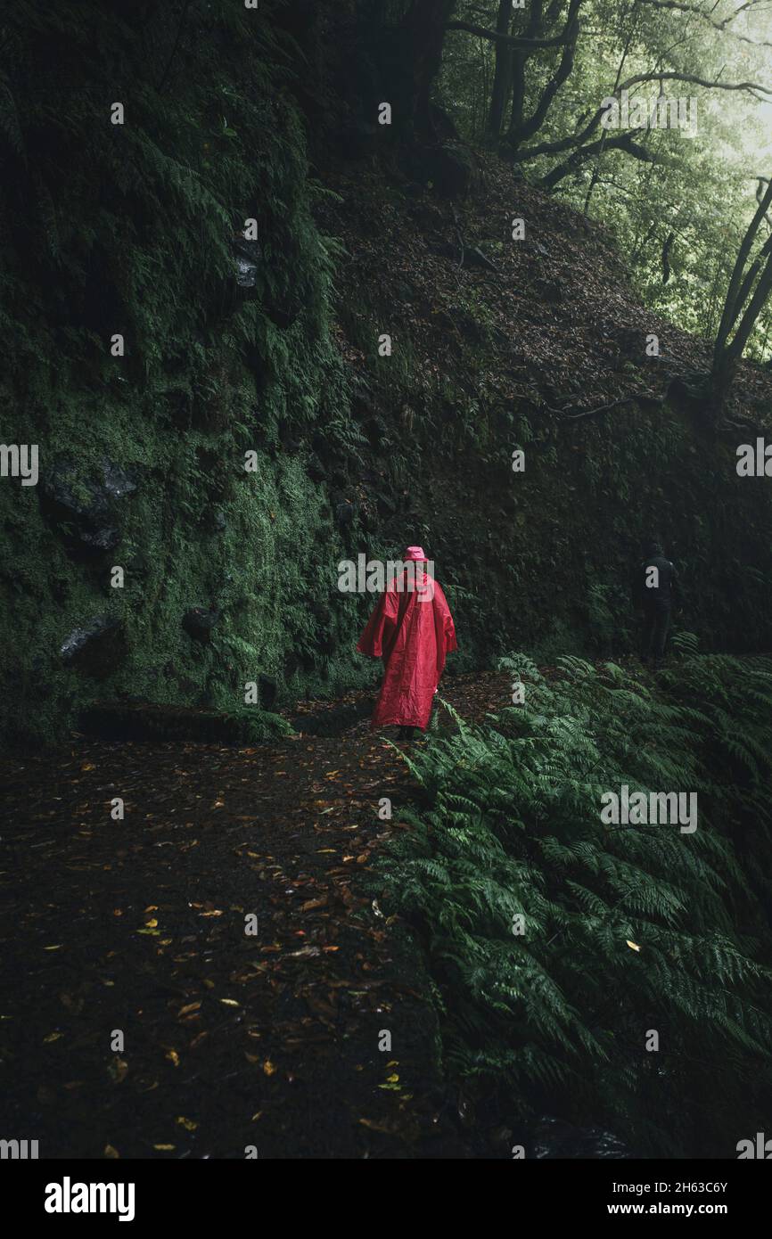 Eine Person in einem roten Regenumhang, nicht erkennbar auf der Insel madeira. Dunkle Stimmung im Wald entlang einer Levada. Stockfoto