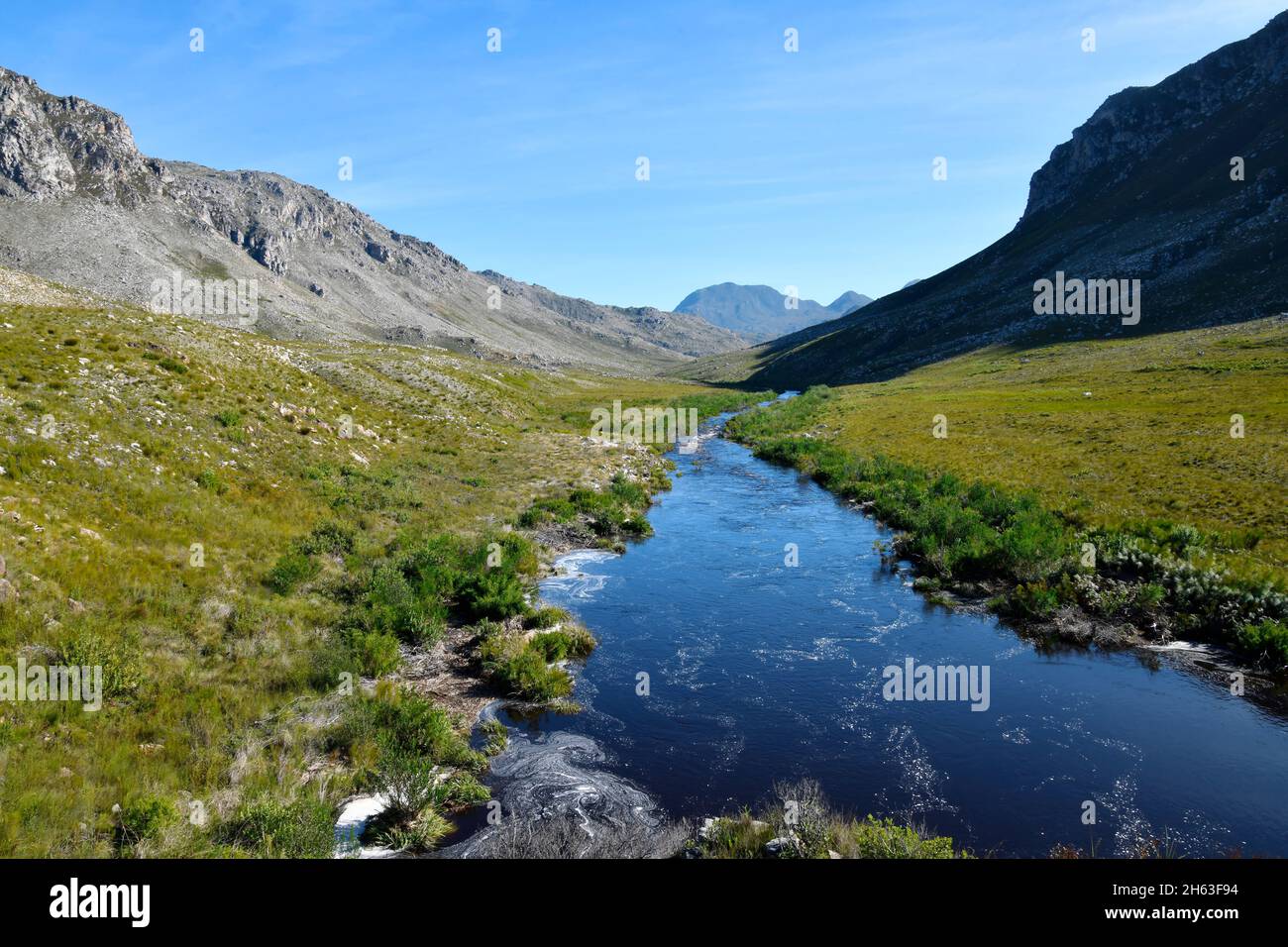 Blick auf den Bergbach im südlichen Kap-Gebirge, Südafrika. Stockfoto