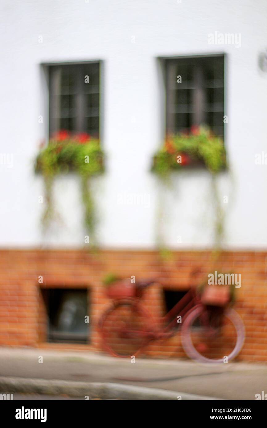 Zwei Fenster mit Blumen auf der Fensterleiste und Fahrrad an der Hauswand. Stockfoto