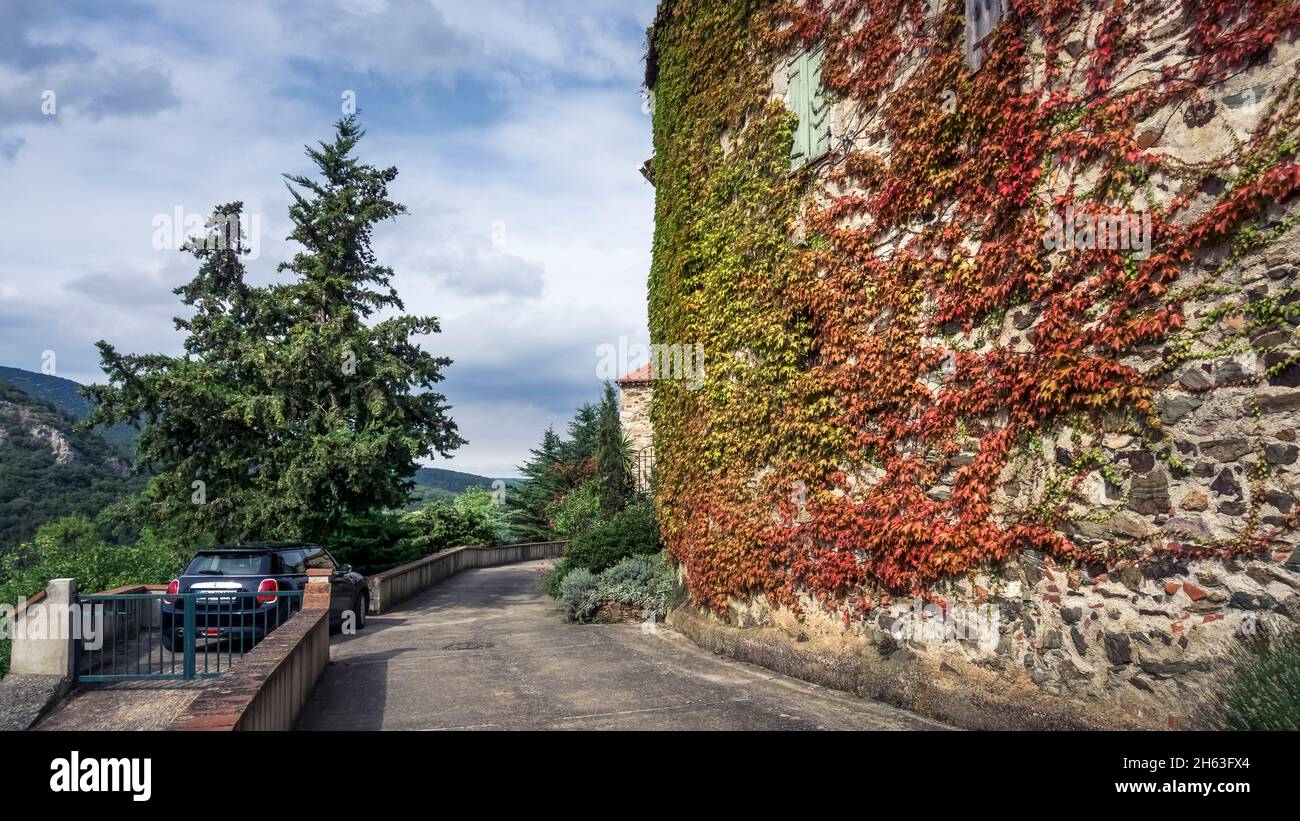 Straße am Stadtrand von Calmeilles. Blick auf die pyrenäen. ivy, Heilpflanze des Jahres 2010. Stockfoto