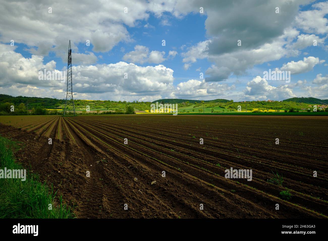 Blick vom mainaue-Naturschutzgebiet bei augsfeld auf das naturschutzgebiet hohe wann, Stadt haßfurt, Bezirk hassberge, unterfranken, franken, bayern, deutschland Stockfoto