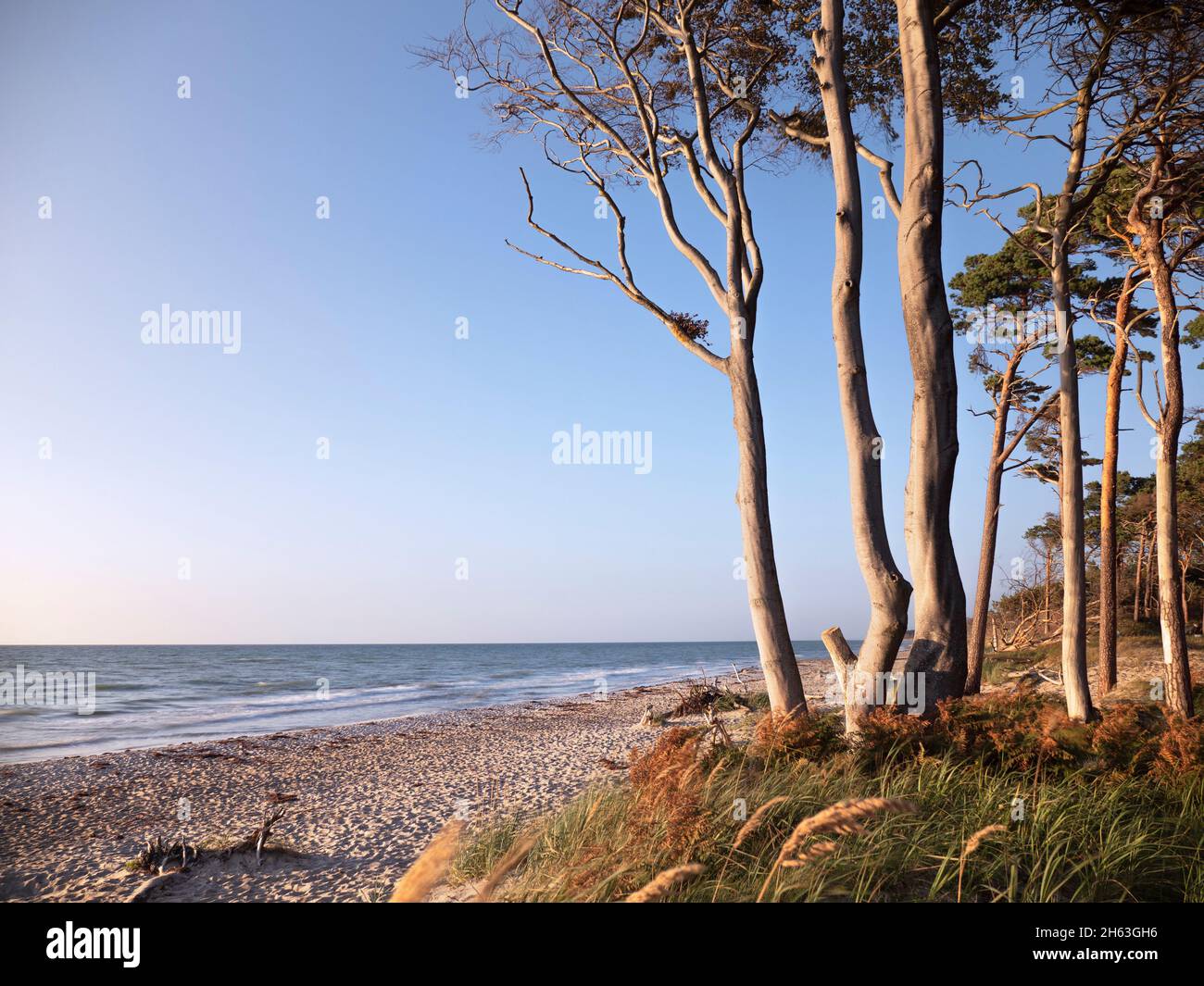 Sonnenuntergang am westlichen Strand von darß Stockfoto