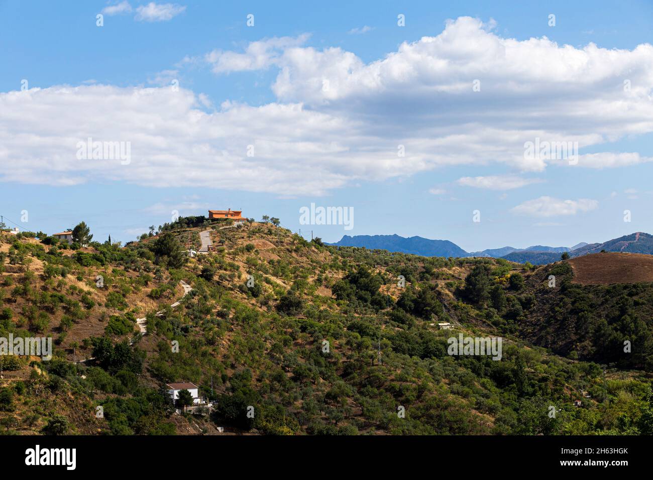 Einige grüne Hügel und große Wolken oben in andalusien, spanien Stockfoto