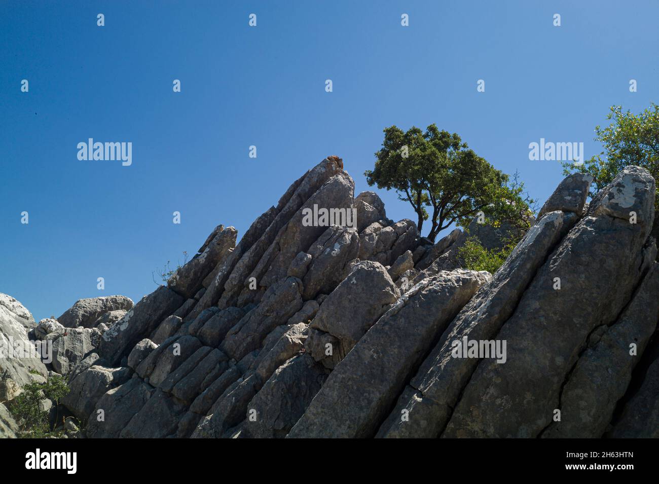 Genießen Sie die herrliche Aussicht von mirador del guarda Forestal in andalusien Stockfoto