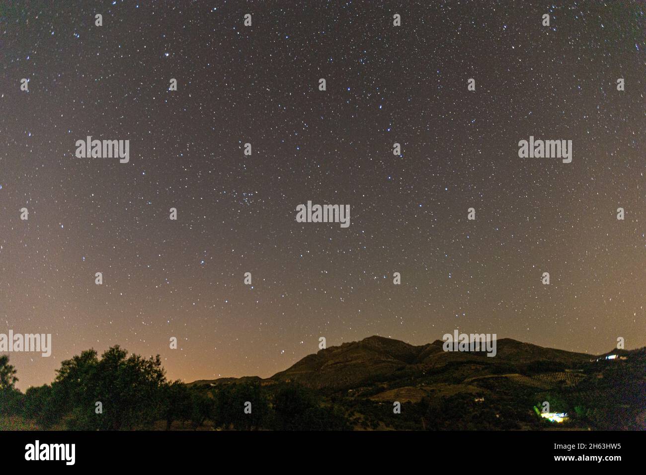 Nachts im nationalpark sierra de las nieves, andalusien, spanien Stockfoto