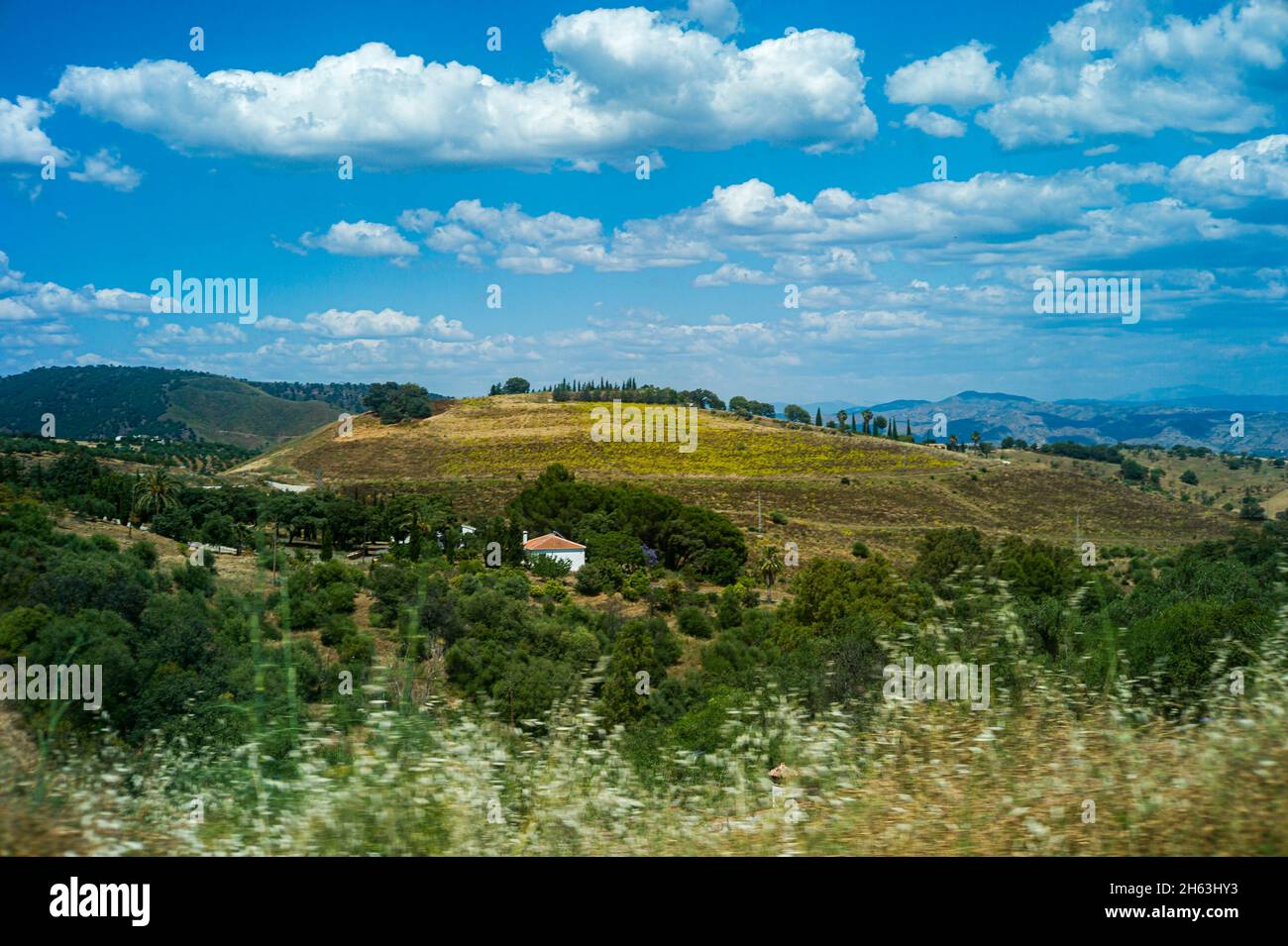 Wilde Natur im nationalpark sierra de las nieves, andalusien, spanien Stockfoto