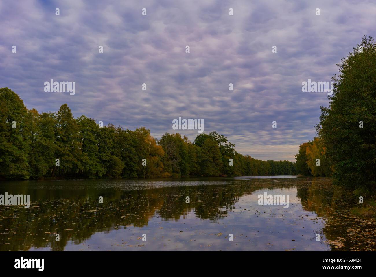 Kleiner Dorfsee im Herbst, erste verfärbte Blätter auf den Bäumen, Herbstfarben Stockfoto