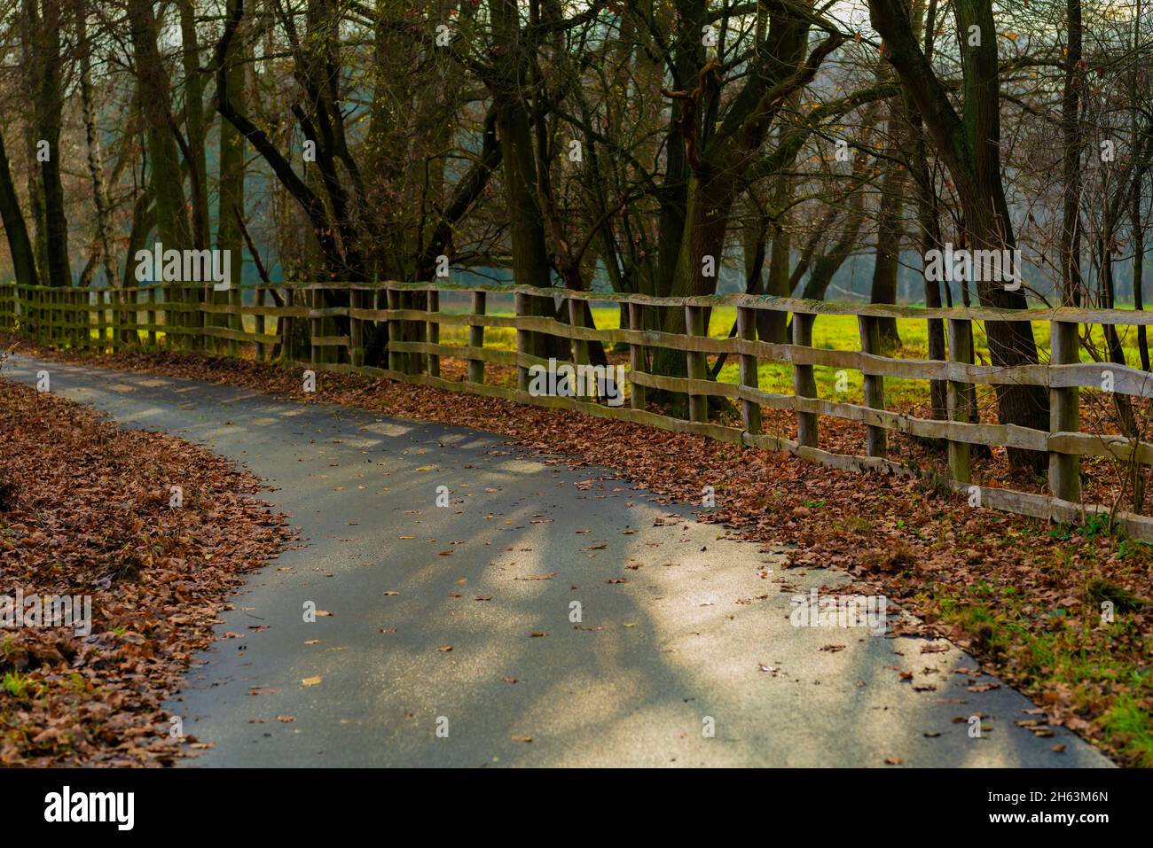 Radweg mit Herbstlaub für den Freizeitsport an einem sonnigen Tag in deutschland Stockfoto