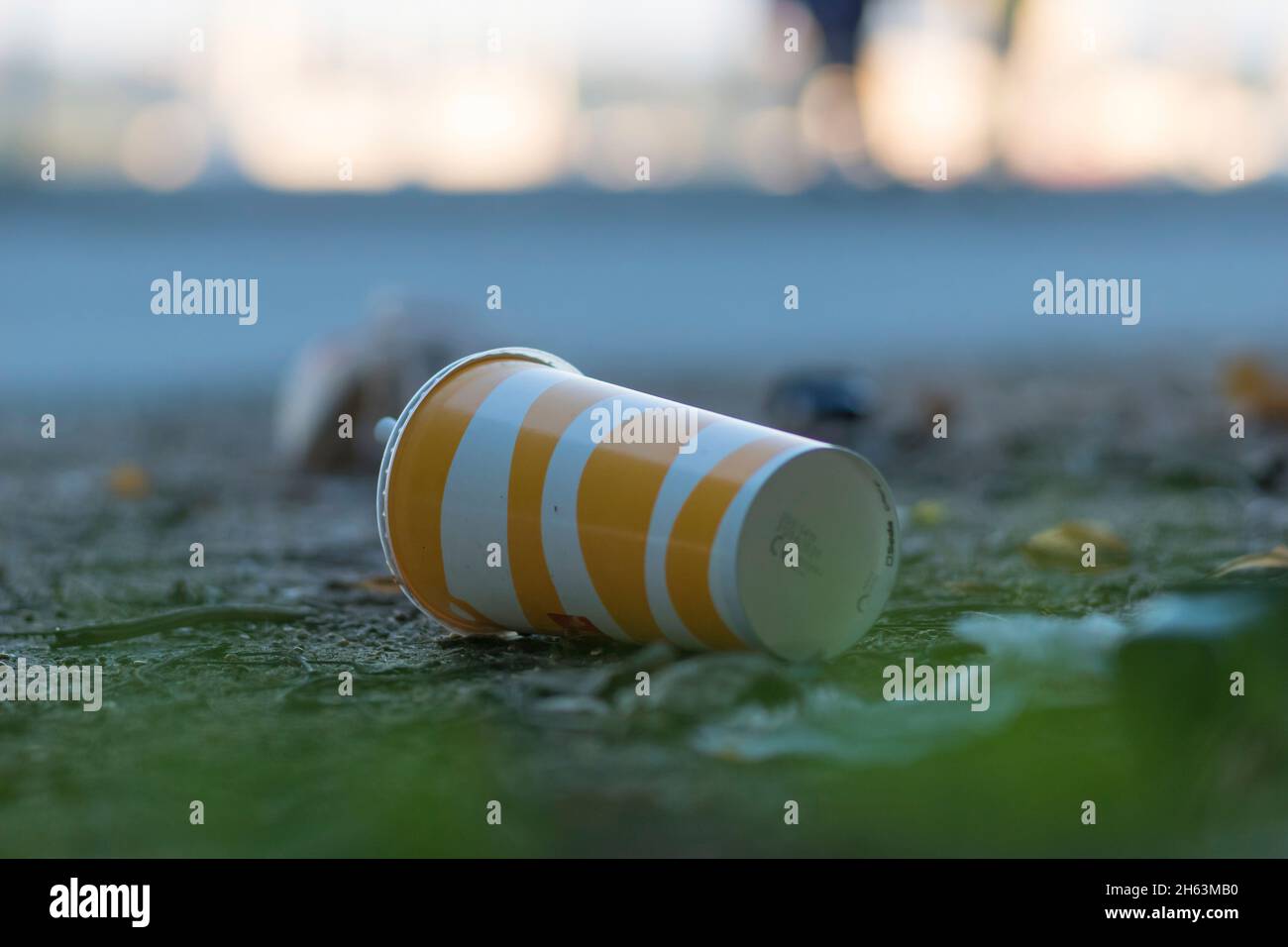 Ein Getränkebecher, Einweg-Becher, der in der freien Natur in kiel, deutschland, entsorgen wird Stockfoto