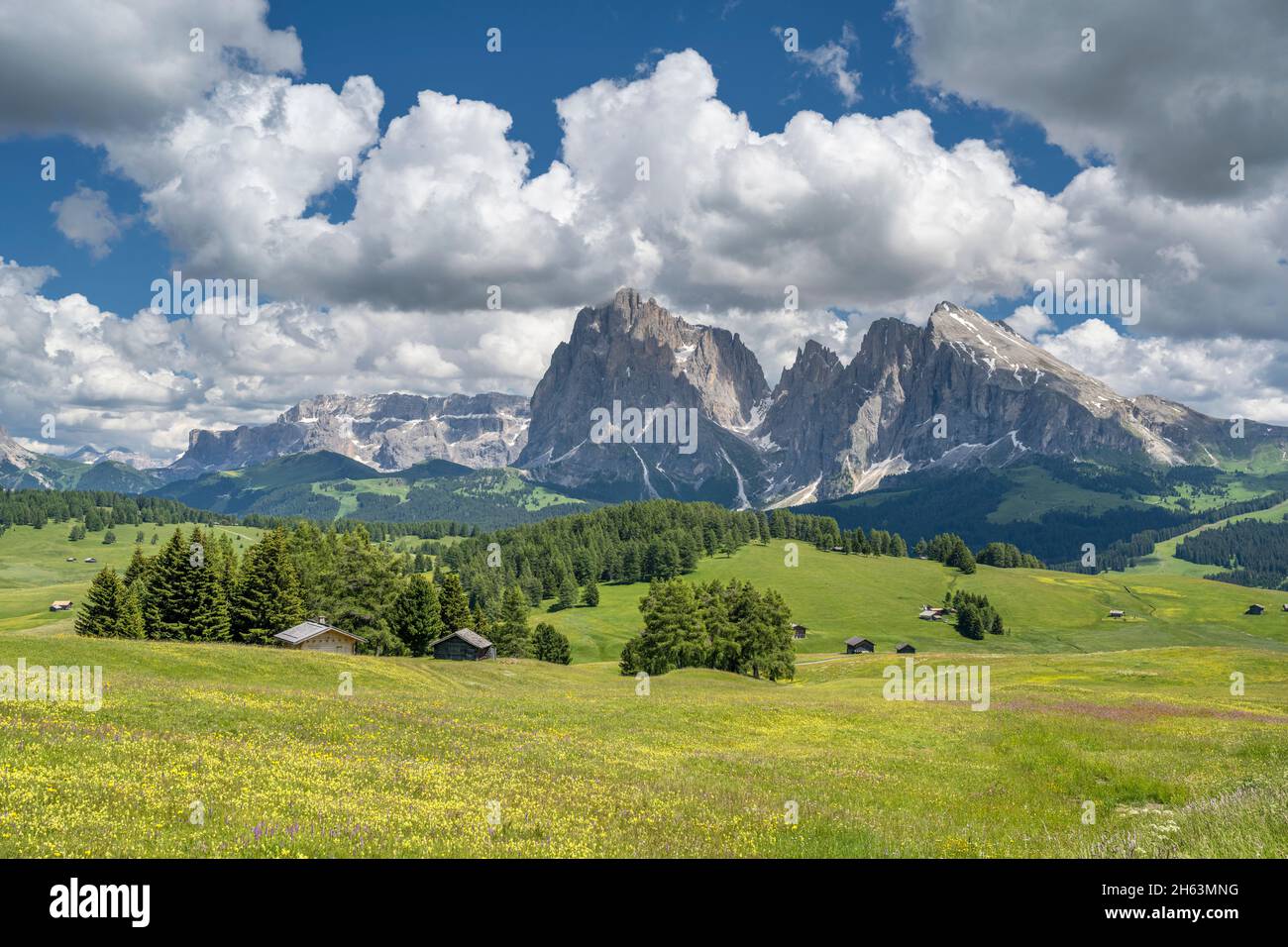 seiser alm,kastelruth,Südtirol,provinz bozen,italien. Blick von der seiser alm auf die sellagruppe,langkofel und plattkofel Stockfoto