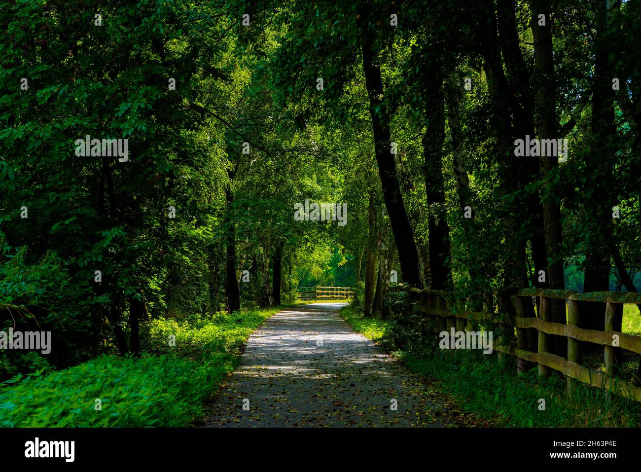 Radweg am Ende des Sommers, Licht und Schatten Stockfoto