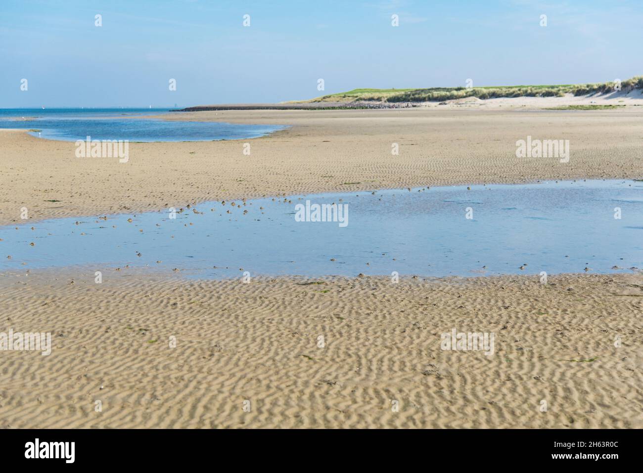 nordseestrand bei Ebbe mit reflektierenden Wasserflächen im Vordergrund. Stockfoto