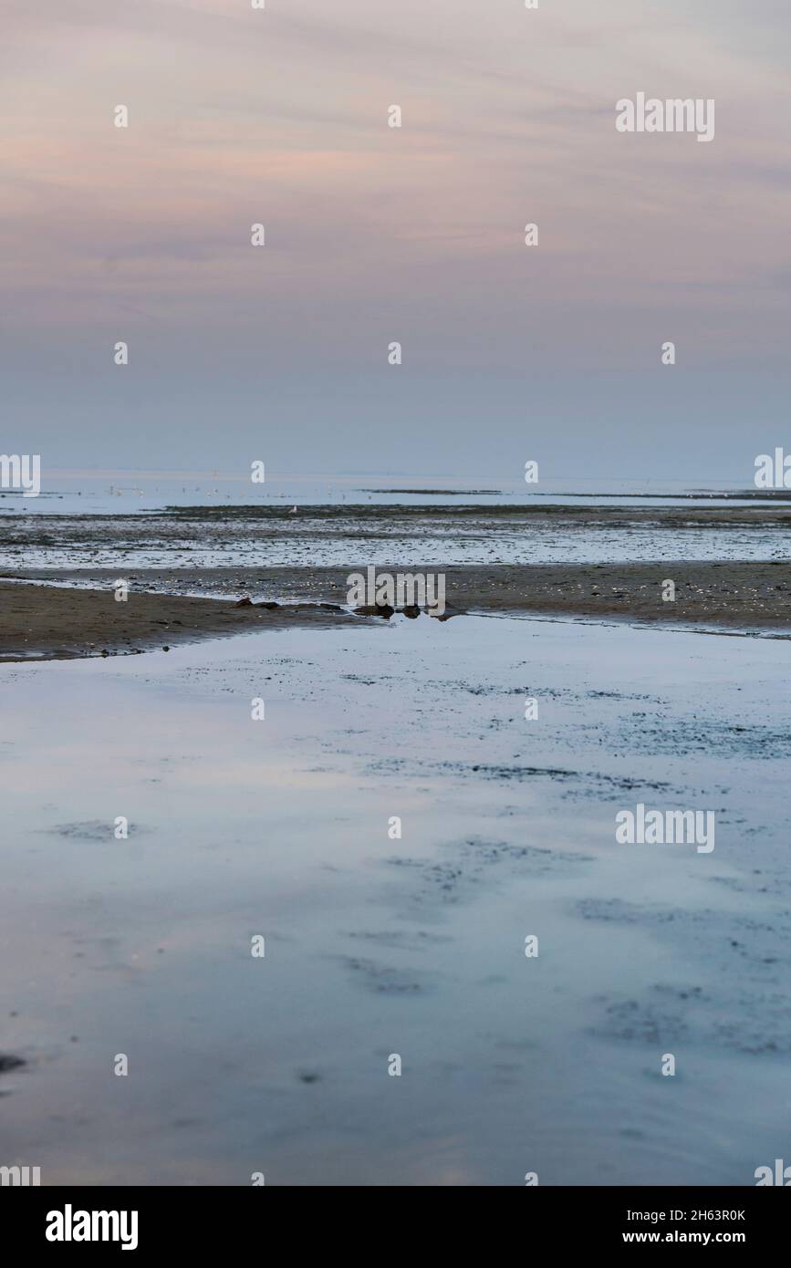 nordseestrand bei Ebbe mit spiegelnden Wasserflächen im Vordergrund in der Abenddämmerung. Stockfoto