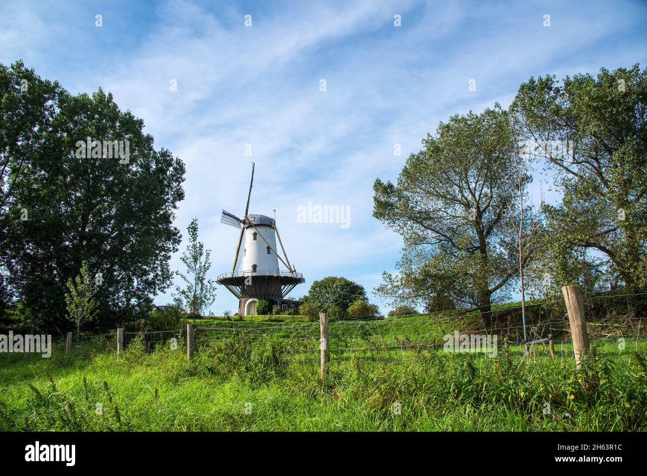 Die historische Windmühle in veere, Niederlande, vor dem Sommerhimmel. Stockfoto