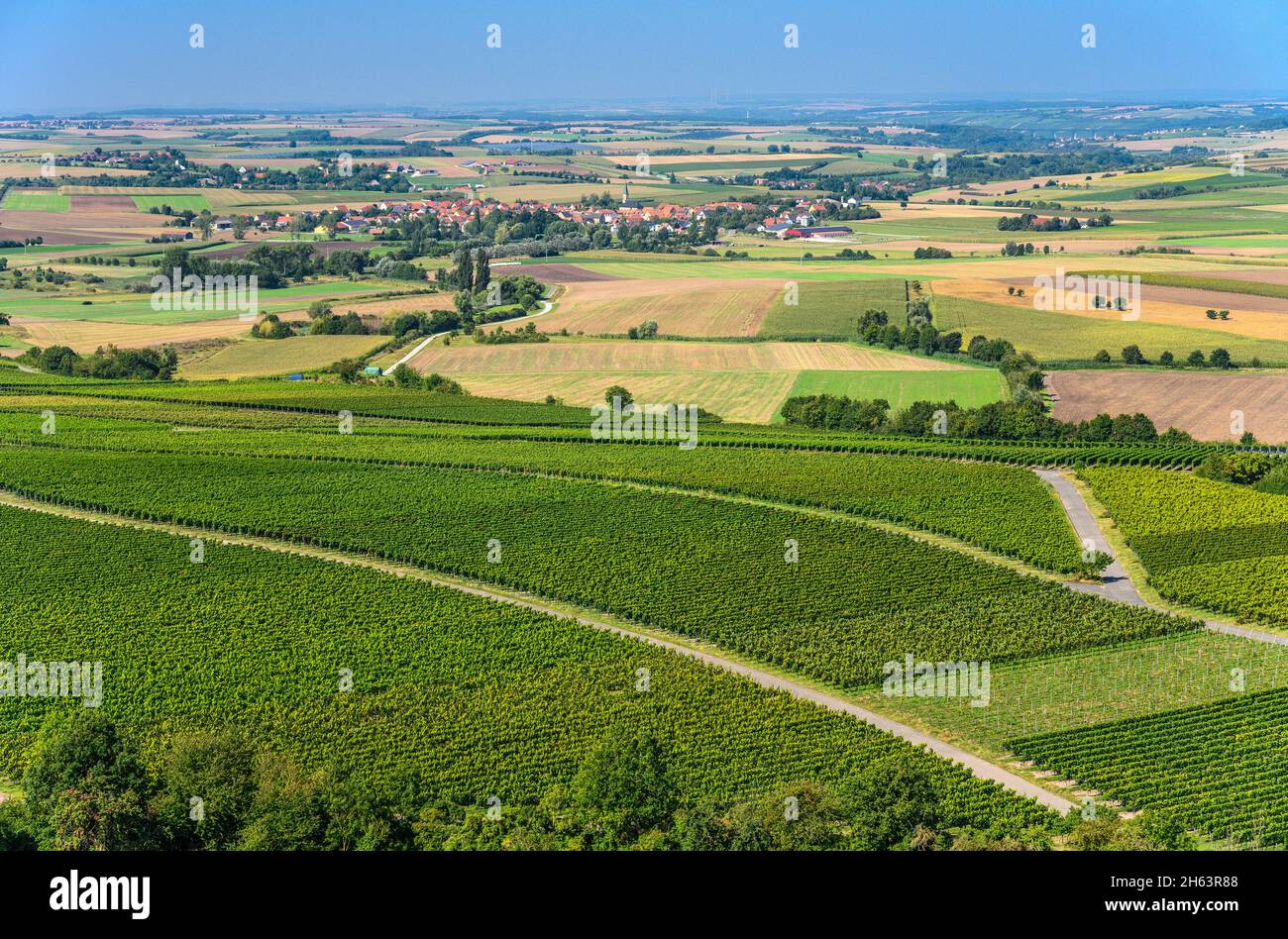 deutschland,bayern,unterfranken,fränkisches Weinland,seinsheimer Markt,Weinlandschaft mit Blick auf die Stadt,Blick von tannenberg Stockfoto
