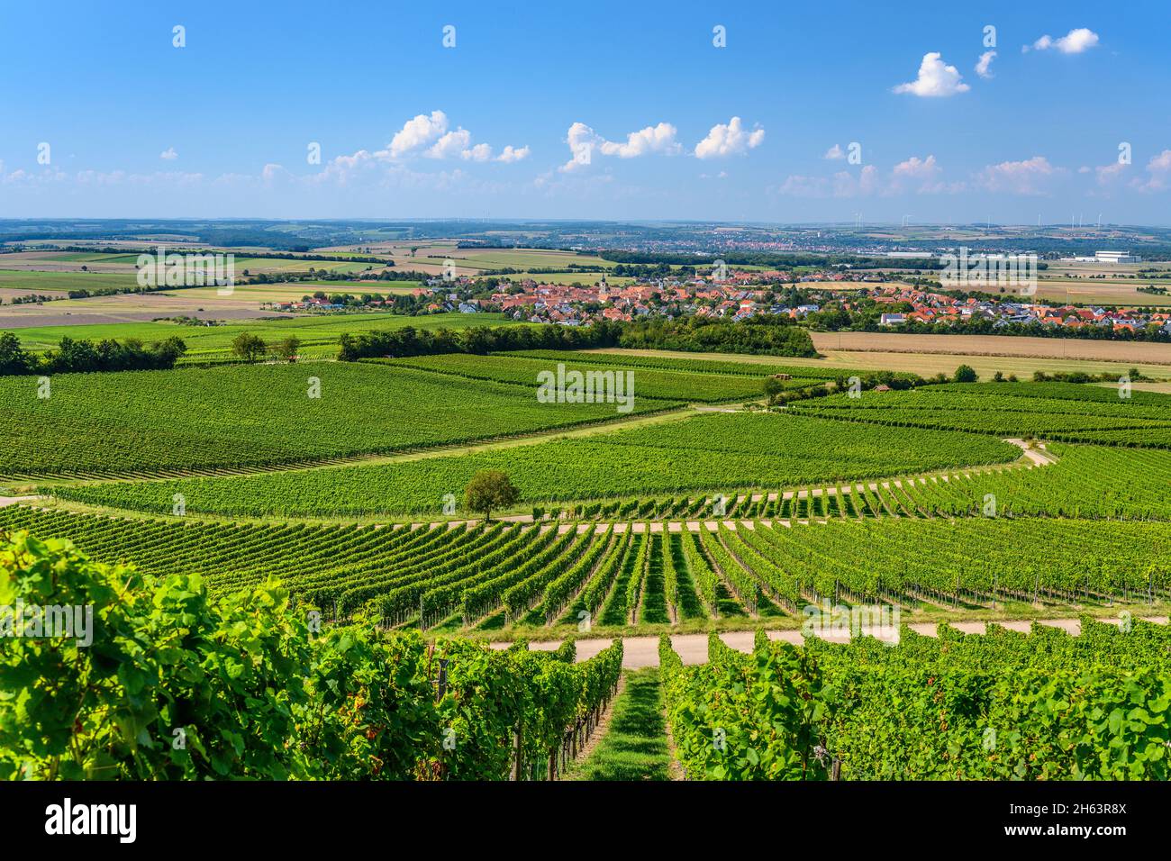 deutschland,bayern,unterfranken,fränkisches Weinland,rödelsee,Weinlandschaft mit Blick auf die Stadt,Blick vom schwanberg Stockfoto
