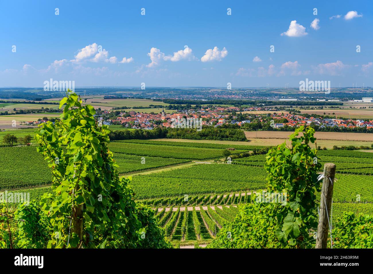 deutschland,bayern,unterfranken,fränkisches Weinland,rödelsee,Weinlandschaft mit Blick auf die Stadt,Blick vom schwanberg Stockfoto