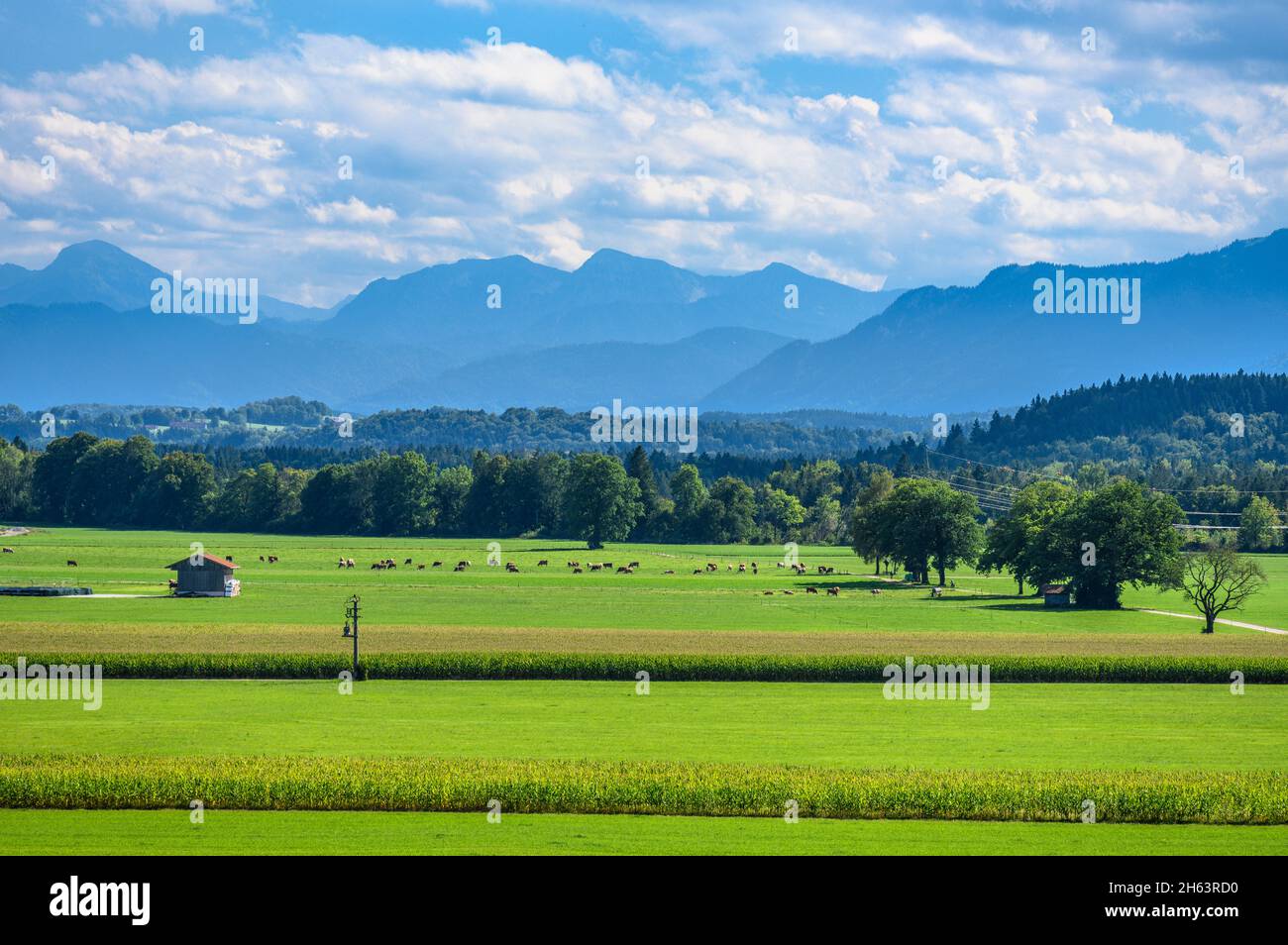 deutschland,bayern,oberbayern,tölzer Land,dietramszell,Kreissackling,Blick von der schimmelkapelle st. georg über das isartal Richtung Vorkarwendel Stockfoto