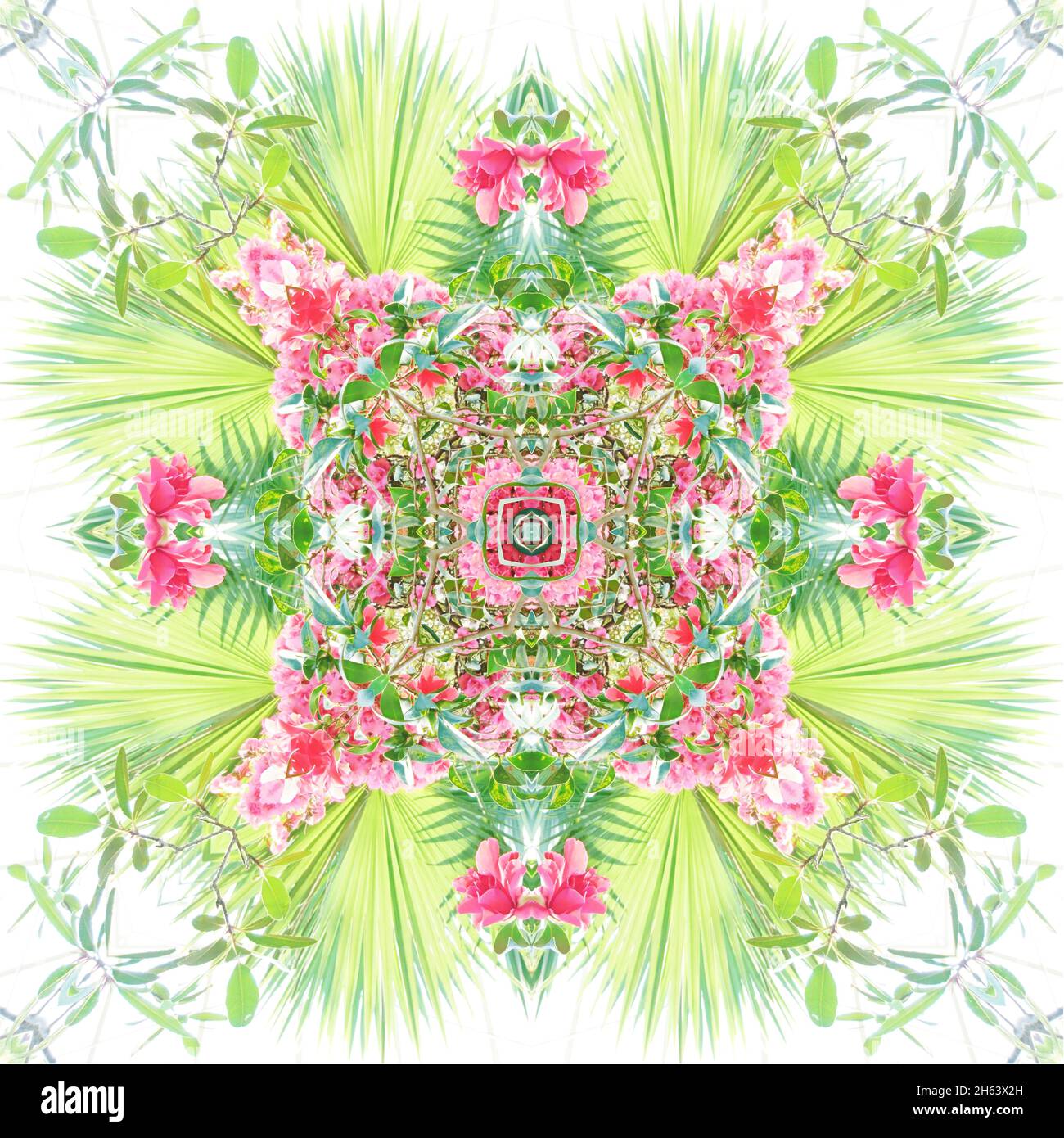 mandala, komponieren, Blumen, Pflanzen Stockfoto