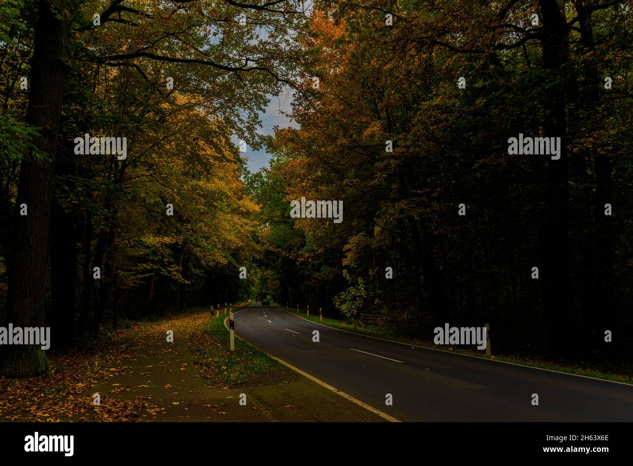 Landstraße im Herbst, schöne Herbstfarben, wenig Tageslicht, Auto auf der Straße Stockfoto