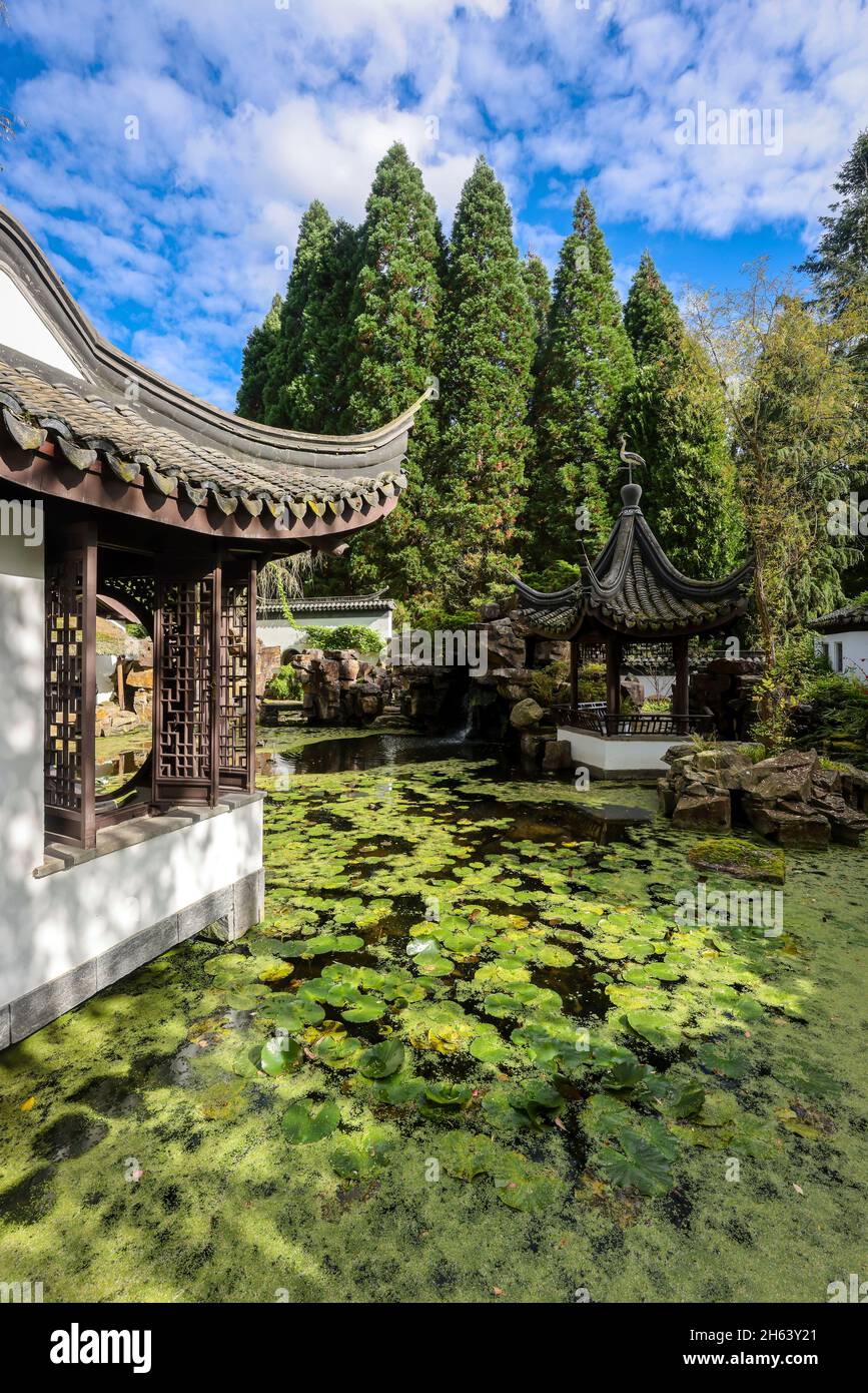 bochum, Nordrhein-westfalen, deutschland - chinesischer Garten, Botanischer Garten der ruhr-universität bochum. Der 1990 erbaute chinesische Garten qian Yuan, ein klassischer südchinesischer Wissenschaftlicher Garten, ist ein Geschenk der Partneruniversität, der tongji-Universität in shanghai. Als Teil der ruhr-Universität bochum wird der Botanische Garten vor allem für Forschung und Lehre, aber auch für genutzt Bildung und Erholung der Öffentlichkeit. Stockfoto