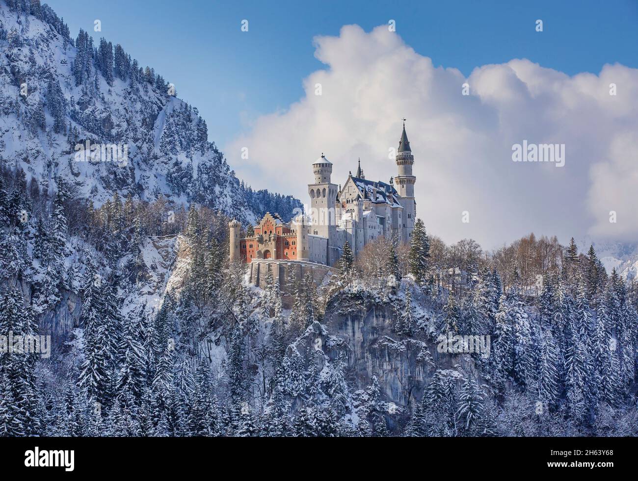 Verschneite Landschaft mit schloss neuschwanstein, hohenschwangau, romantische straße, ostallgäu, allgäu, bayern, deutschland Stockfoto