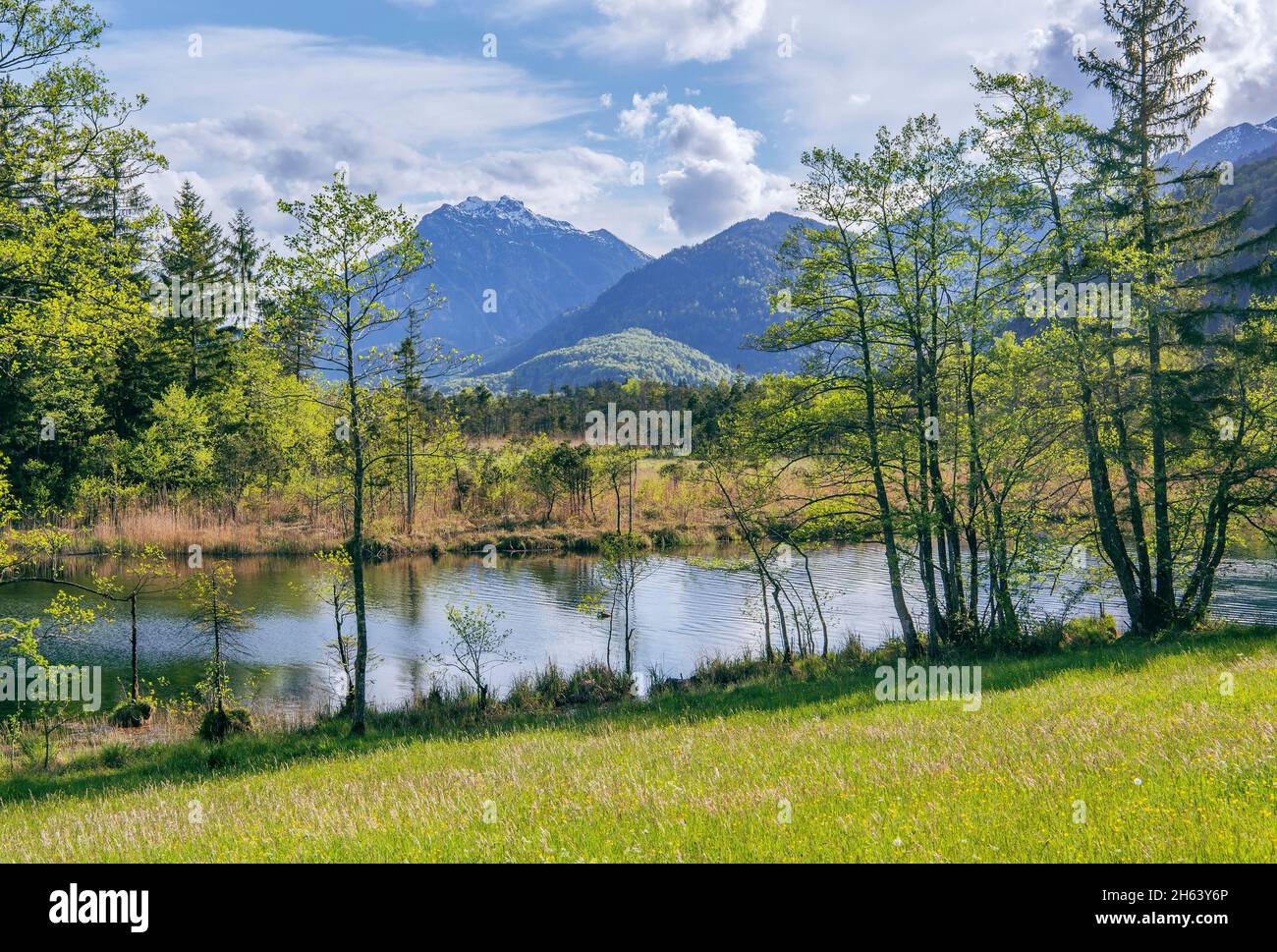 Kleiner Teich im Moorgebiet sieben quellen gegen kramerspitz 1985m,eschenlohe,das blaue Land,oberbayern,bayern,deutschland Stockfoto