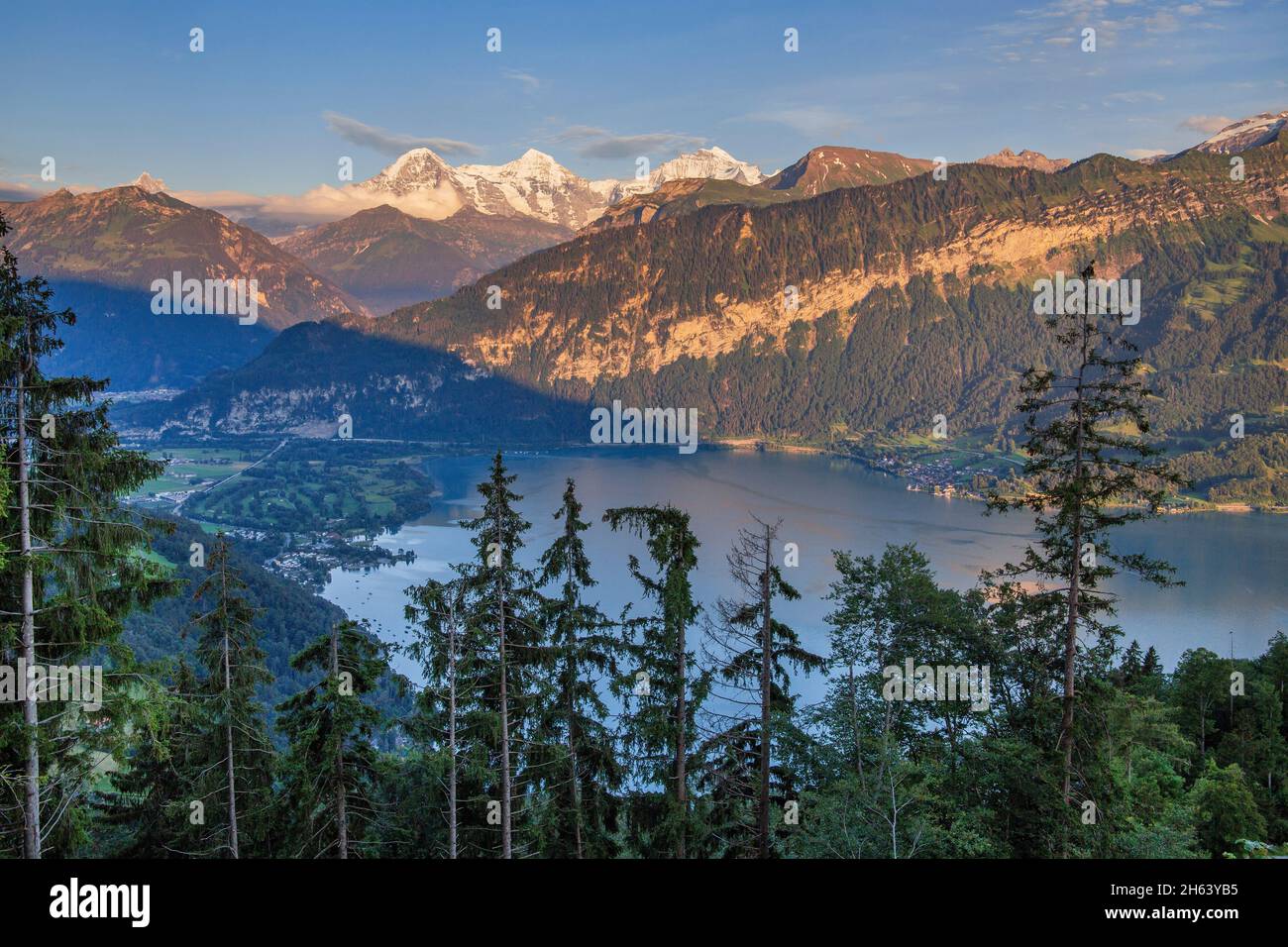 thunersee mit dem Triumvirat eiger 3967m,mönch 4107m und jungfrau 4158m in der Abendsonne,beatenberg,berner alpen,berner oberland,Kanton bern,schweiz Stockfoto