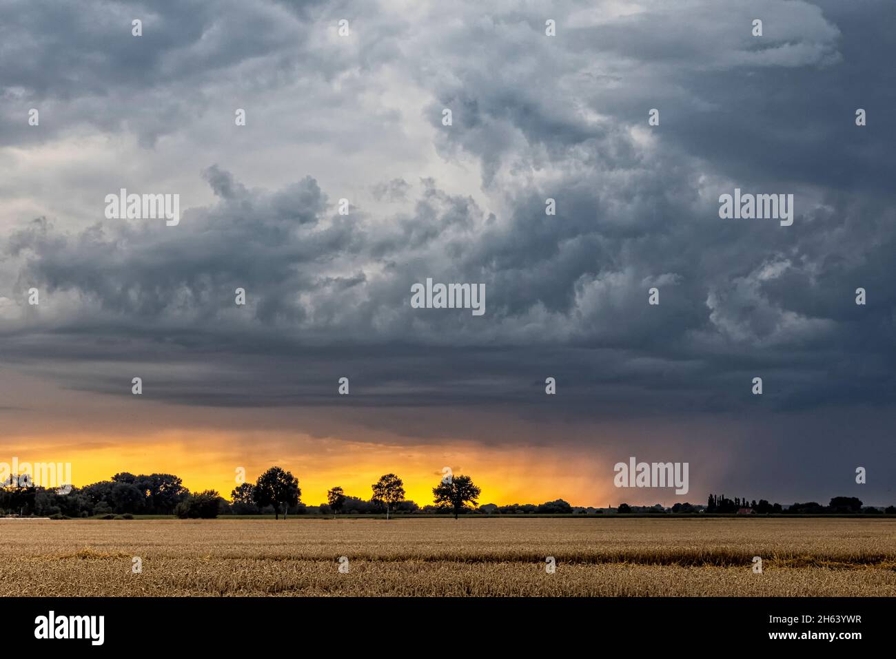 Gewitterwolken sammeln sich bei Sonnenuntergang über einem Feld Stockfoto